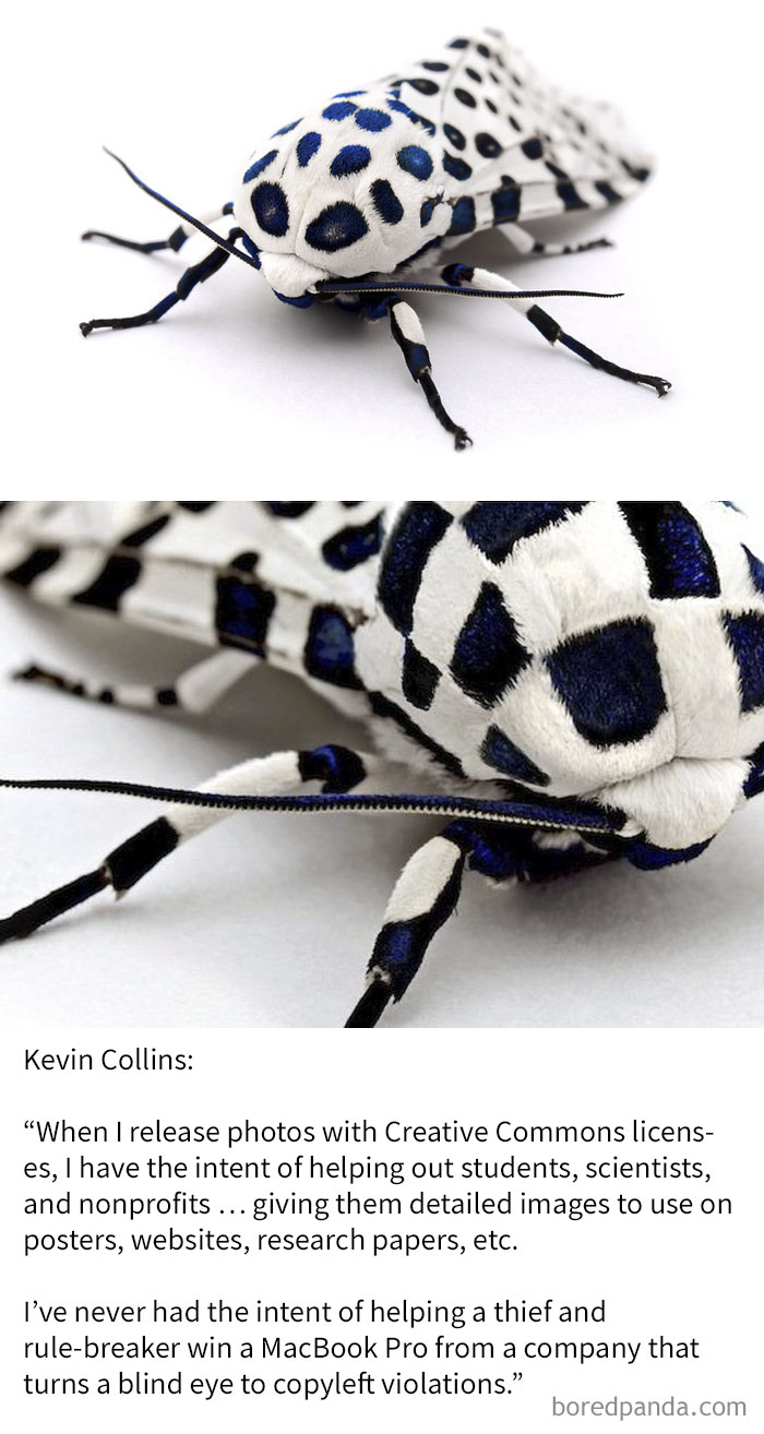 Frenchman Romain Sarkal Eloy Submits A Photoshopped Picture (Bottom) To A Contest And Wins A New Macbook Pro Laptop All Without A Permission Of Photographer Kevin Collins Who Took The Original Picture (Top)