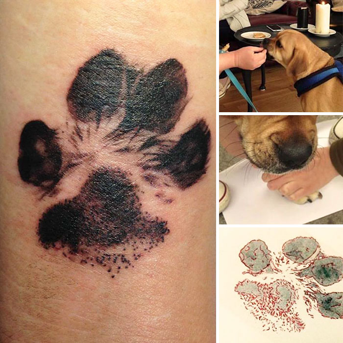 Dog paw print tattoo on skin, dog getting paw print, and paw art creation process.