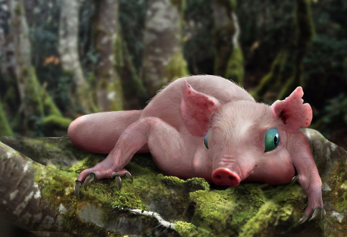 Piguana The Vegetarian