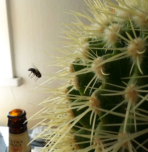 What Are The Odds Of This Accident?