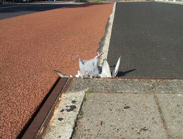 The Events That Aligned To Make This Happen Are Uncanny