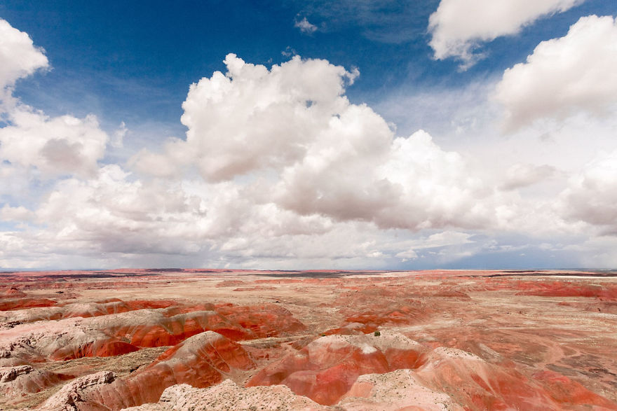 Petrified Forest Landscape, Rouge Et Nuageux (2017)