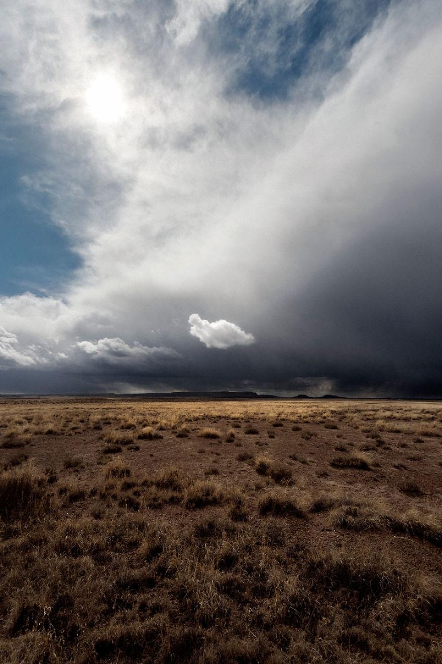 Petrified Forest Landscape, Le Nuage Orphelin (2017)