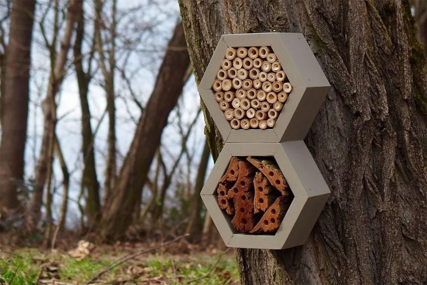 Designer Creates Garden Houses And Hotels For Bees, Butterflies And Other Insects