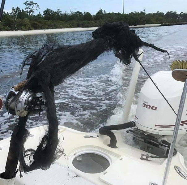 Lightning Struck This Fishing Rod