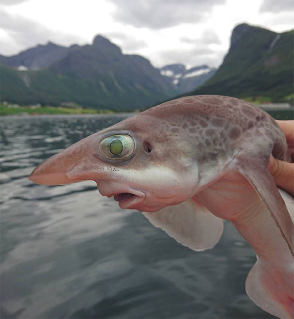 Smiiiittttttthhhhhers