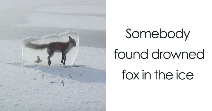 42 Times Nature Made Us Say NOPE” (WARNING: This List Might Be Too Scary For You)”
