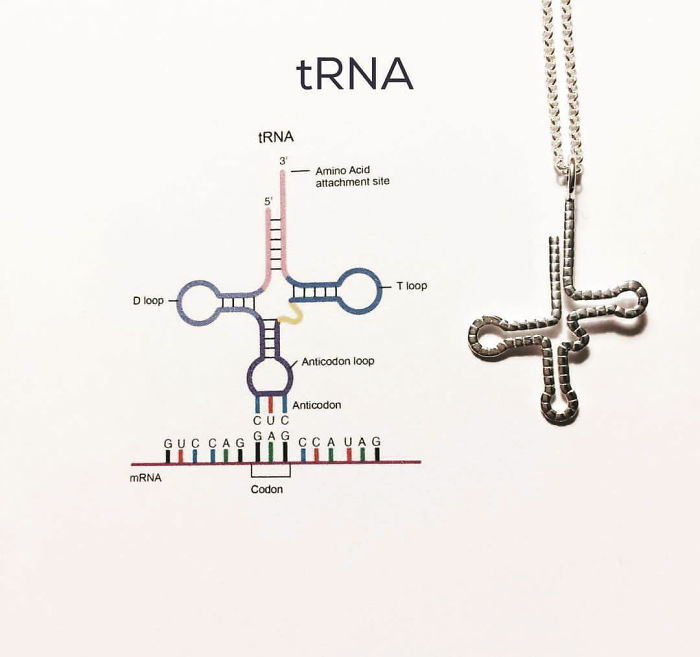 Trna Necklace