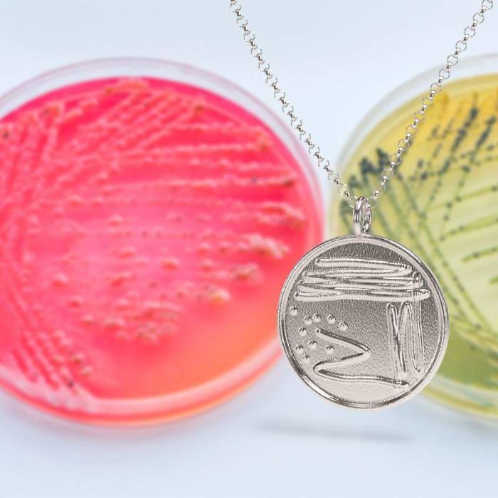 Petri Dish Necklace