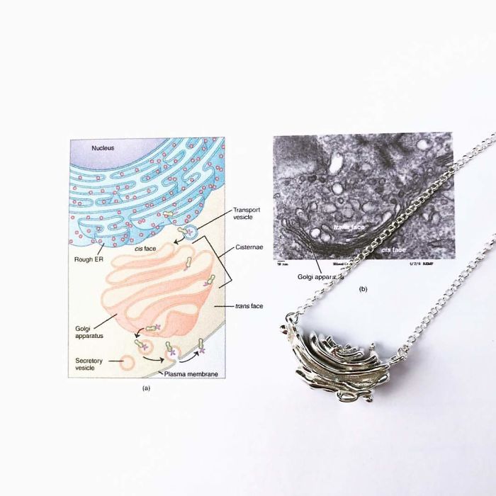 Golgi Apparatus Necklace
