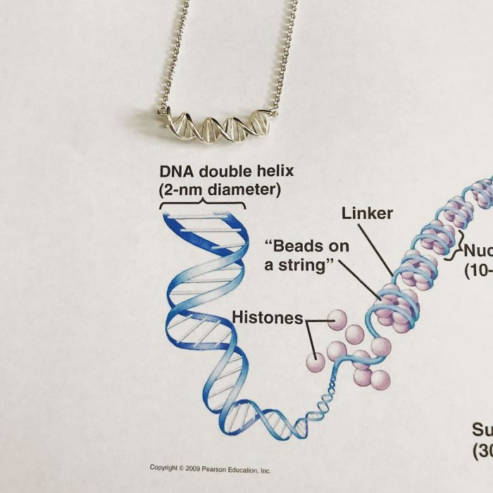Dna Necklace