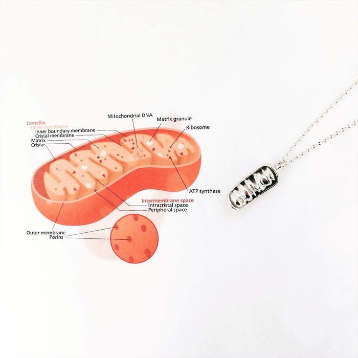 Mitochondria Necklace