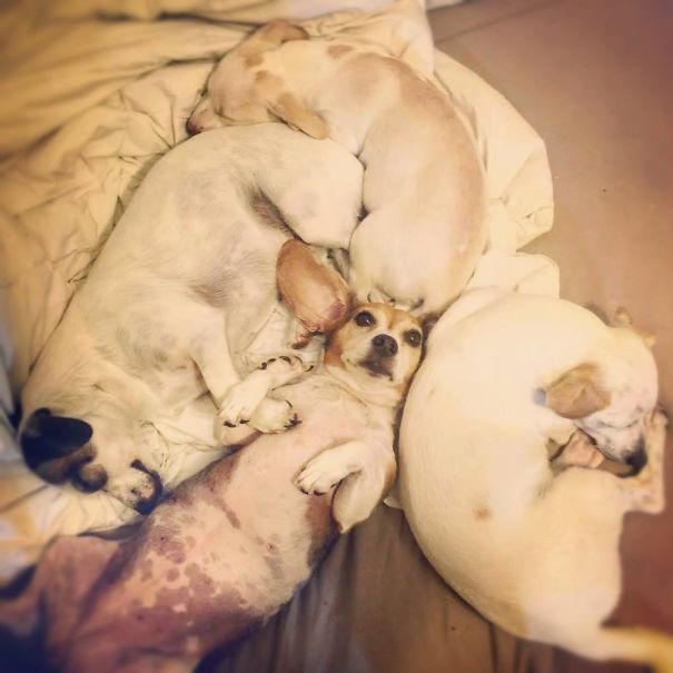 There's Always That One Child Who Will Not Fall Asleep At Bedtime, No Matter What.