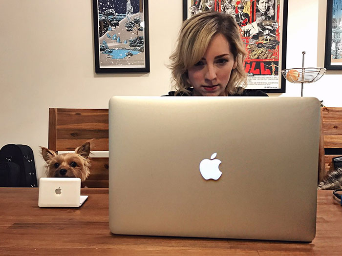 10+ Perros mimados que viven mejor que tú