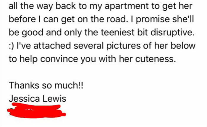 student-professor-dog-hurricane-irma-4 student-professor-dog-hurricane-irma-4