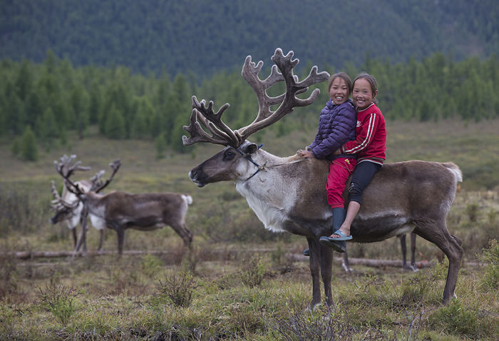 I Took Photos Of Adorable Kids With Their Reindeer In The Remote Taiga Mountains Of Mongolia