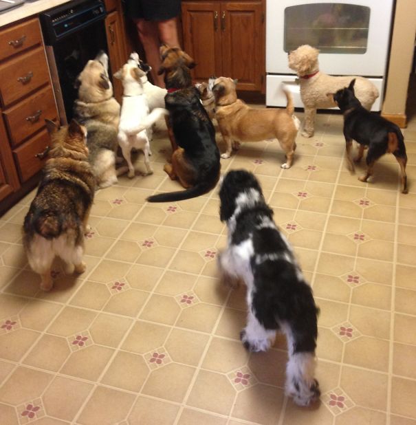 "do We Smell Toast? We Like Toast"