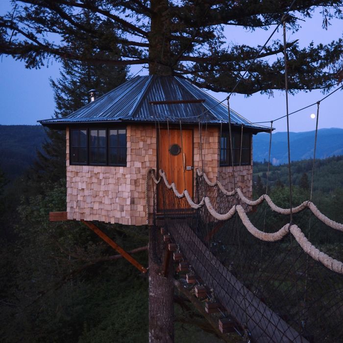 This Millennial Quit His Job To Build A Treehouse Empire