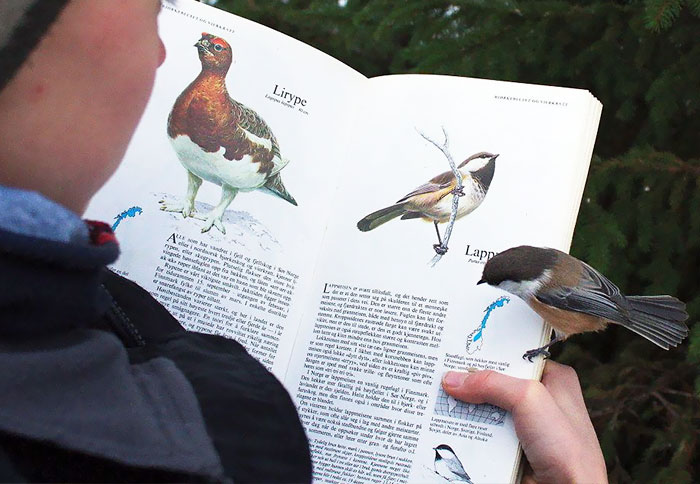 10+ Coincidencias tan improbables que cuesta creer que hayan ocurrido