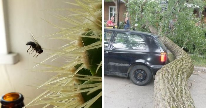 109 One In A Million Coincidences That Are Hard To Believe Have Actually Happened