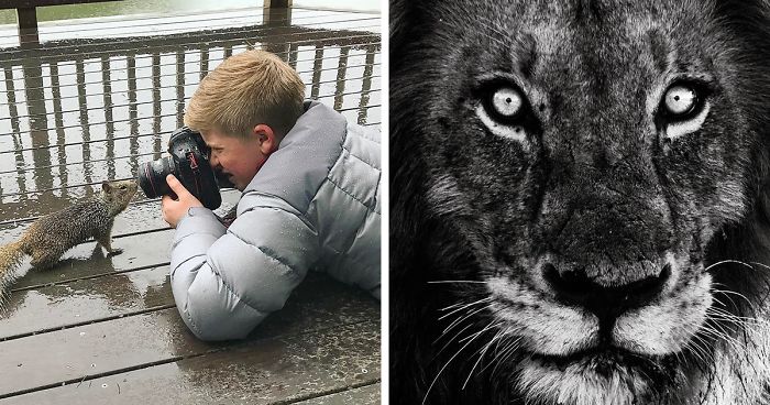 Steve Irwin’s Son Is An Award Winning Photographer And These Photos Show Why