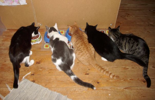 Yumyum... Dinner Time!!