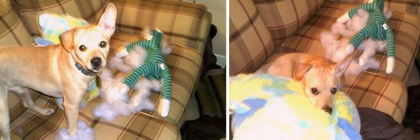 Jack Caught In The Act & Feeling Guilty