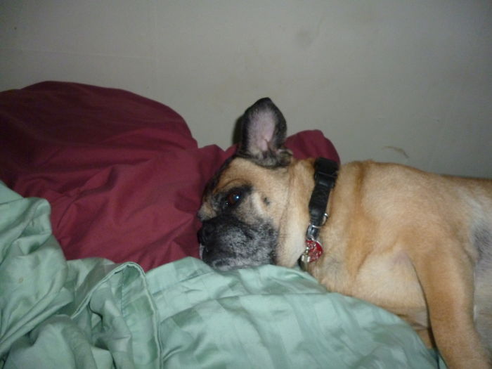 When I Said It Was Bedtime, I Came In To This.