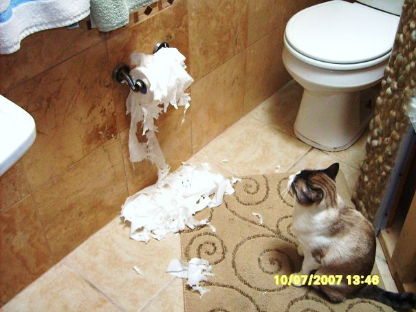 Yep... Disgusting...