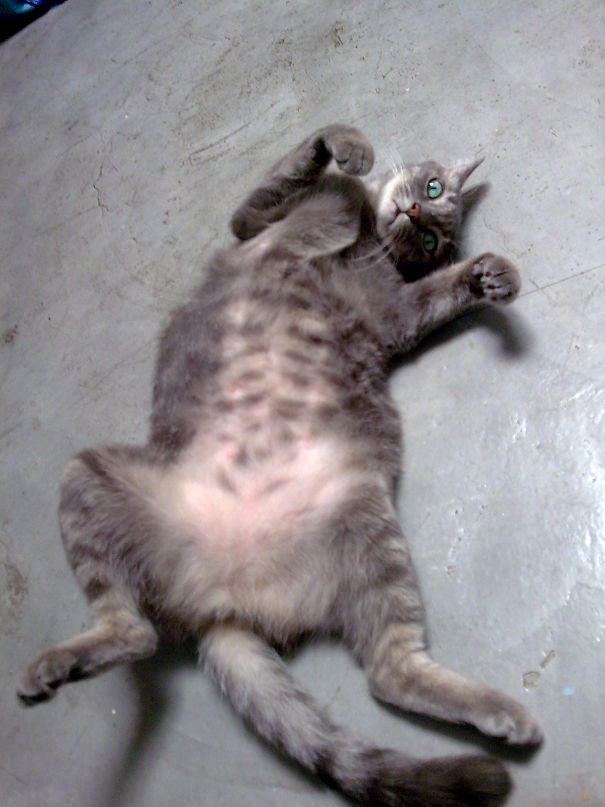 You Can't See Me, You Can't See Me 😜