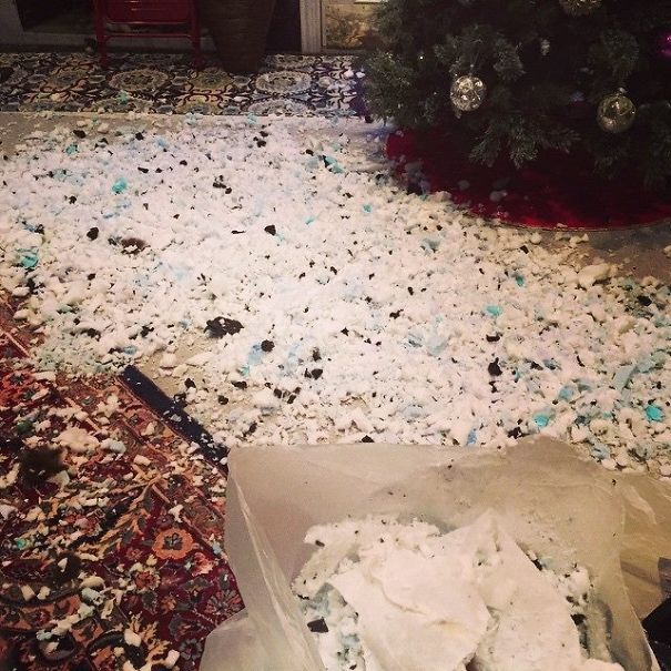 Caught In The Act....and Then The Next Day.....