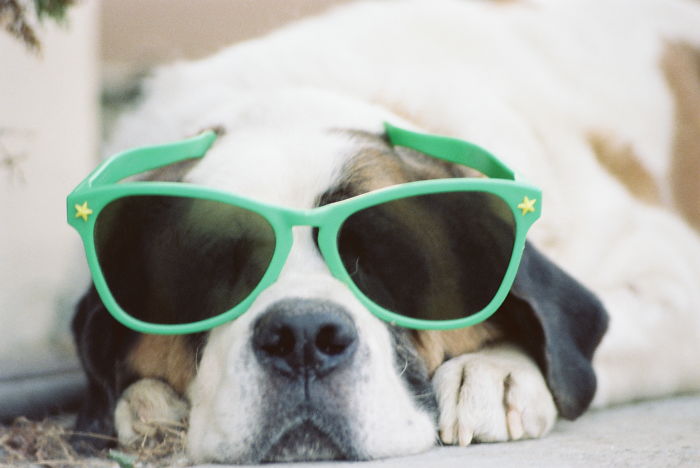 Hanging Out By The Pool