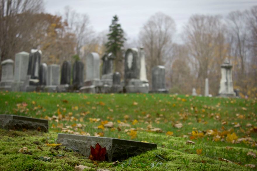 I Love The Somber Beauty Of Cemeteries. I Love The Somber Beauty Of Cemeteries.