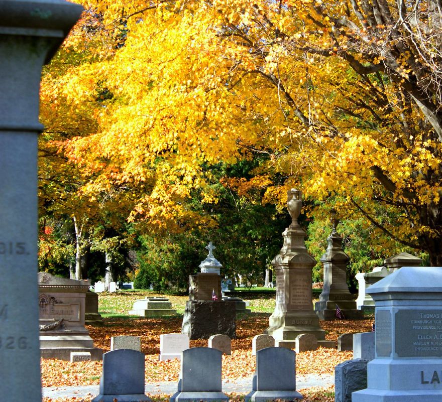 I Love The Somber Beauty Of Cemeteries.