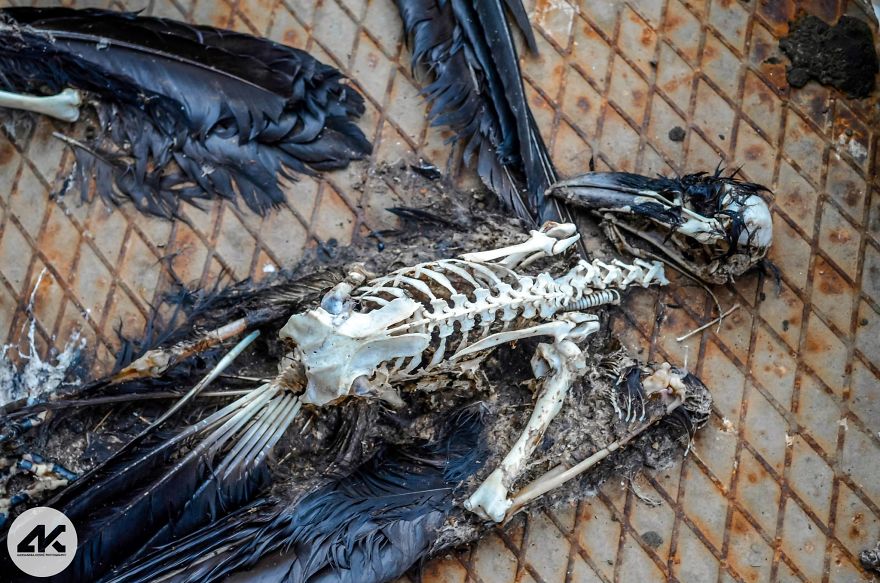 Aleksandra Kostic Explored An Eerie Abandoned Coal Mine Aleksandra Kostic Explored An Eerie Abandoned Coal Mine