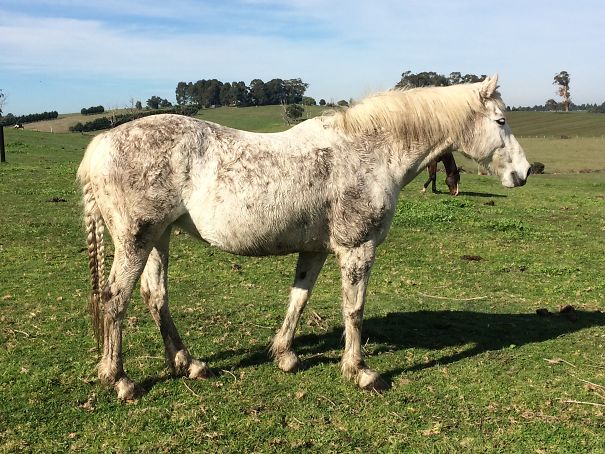 She Knows When She Has A Show Coming Up!