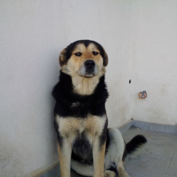 That Precious Daf*k U Want Face When I Am Not Playing With Him...