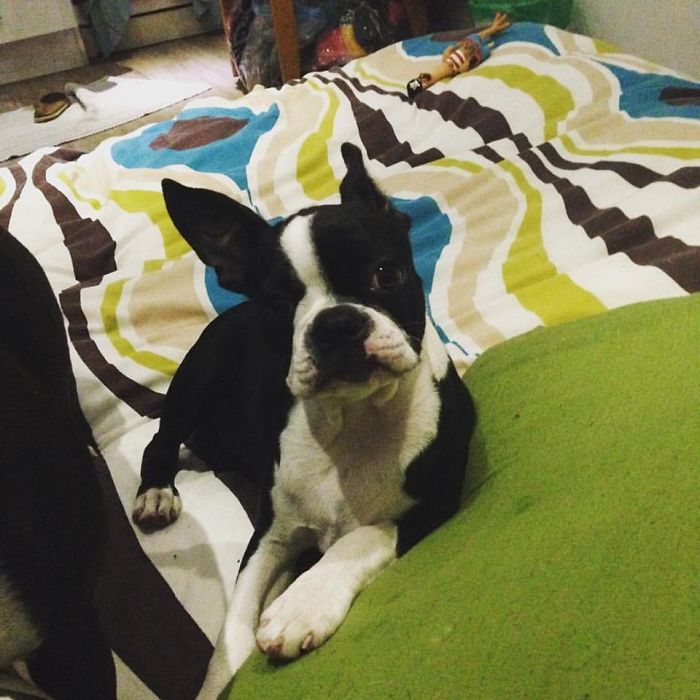 Really..? He Said What!