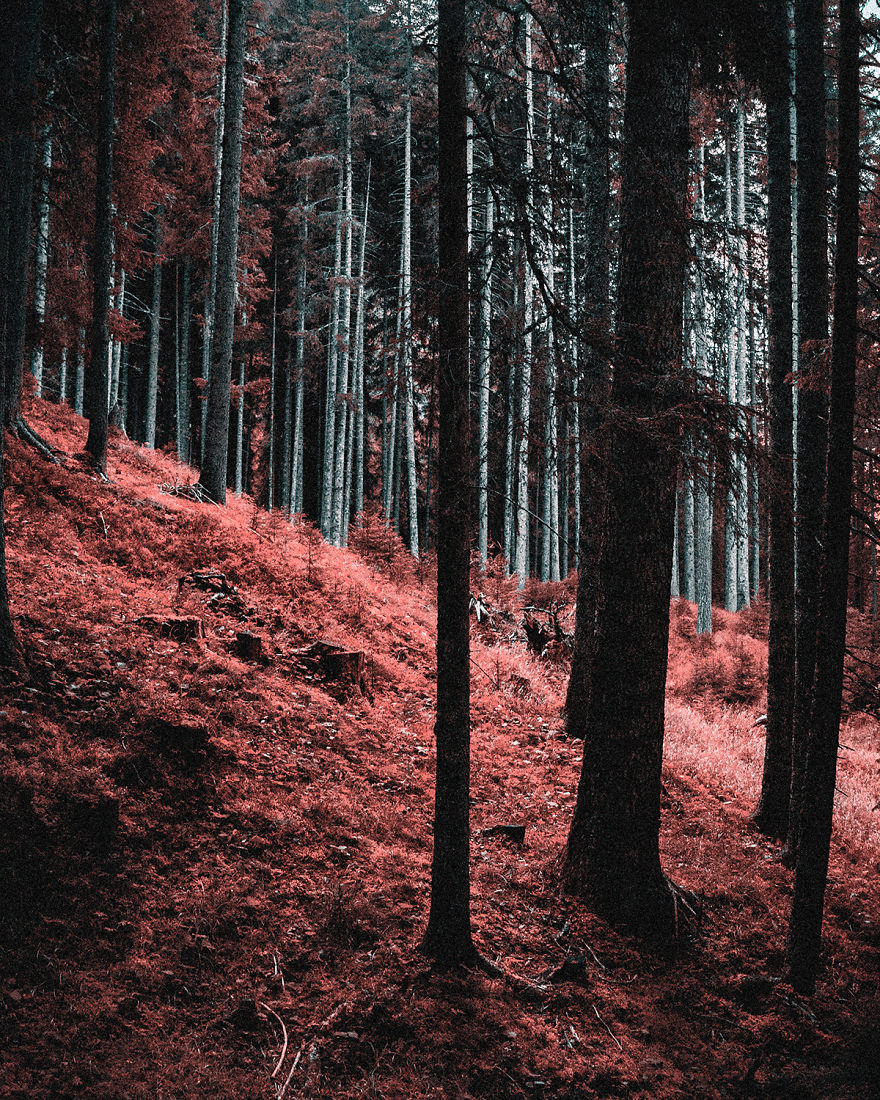 How A Colorblind Affected By Tritanopia Sees The World