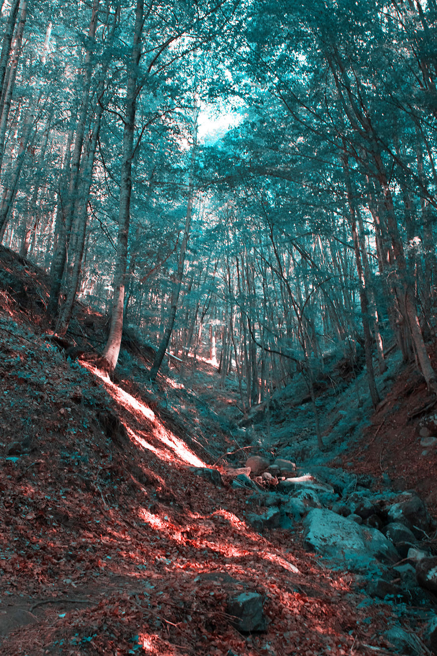 How A Colorblind Affected By Tritanopia Sees The World How A Colorblind Affected By Tritanopia Sees The World