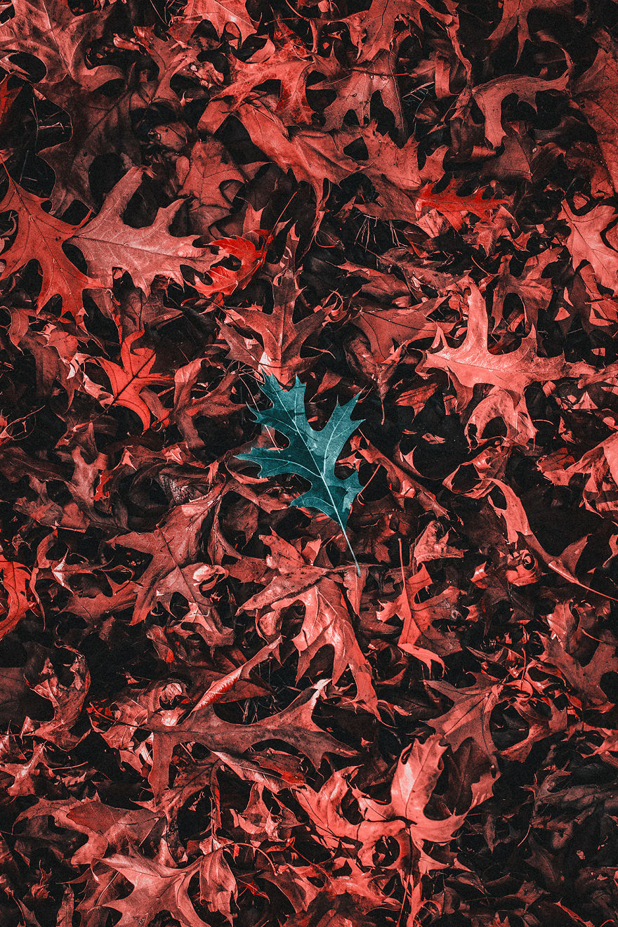 How A Colorblind Affected By Tritanopia Sees The World