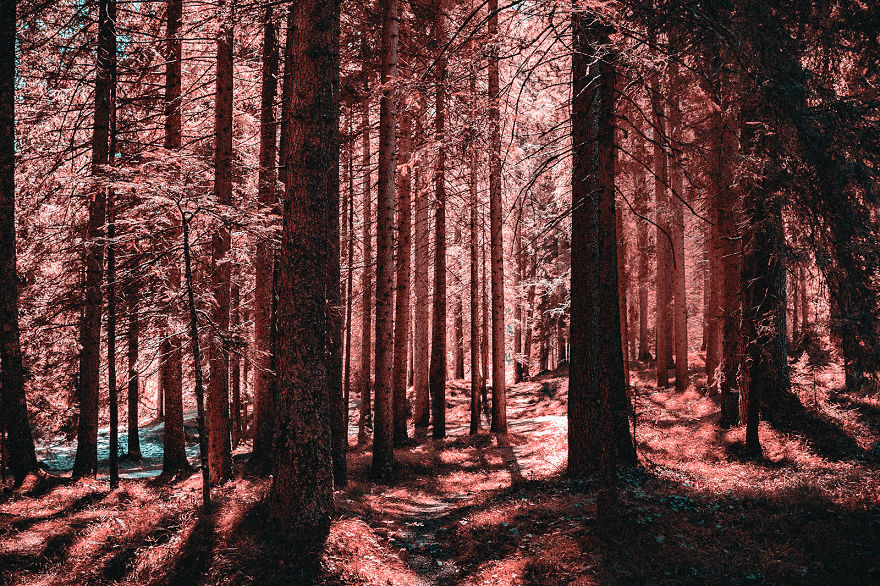 How A Colorblind Affected By Tritanopia Sees The World How A Colorblind Affected By Tritanopia Sees The World