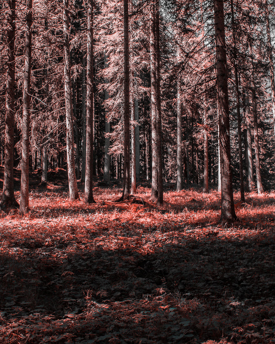 How A Colorblind Affected By Tritanopia Sees The World How A Colorblind Affected By Tritanopia Sees The World