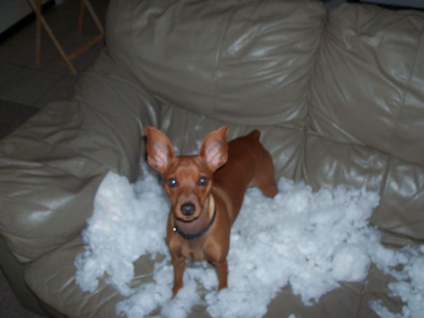 She Used To Be Our Little Angel