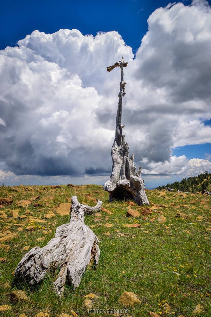 The Supplicant. Could Be A Salvador Dali's Painting!