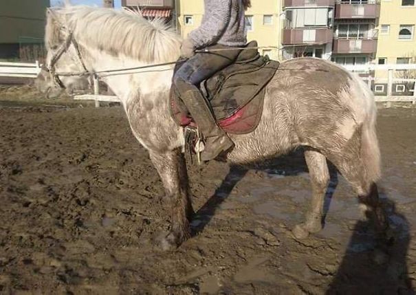 "She's Great With Kids" Said I. "This Seemed Like A Nice Place To Roll Over" Said She