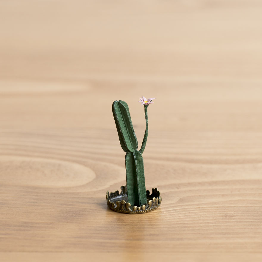 Tiny Terrariums With Miniature Paper Plants, Blooming Cacti And Flowers
