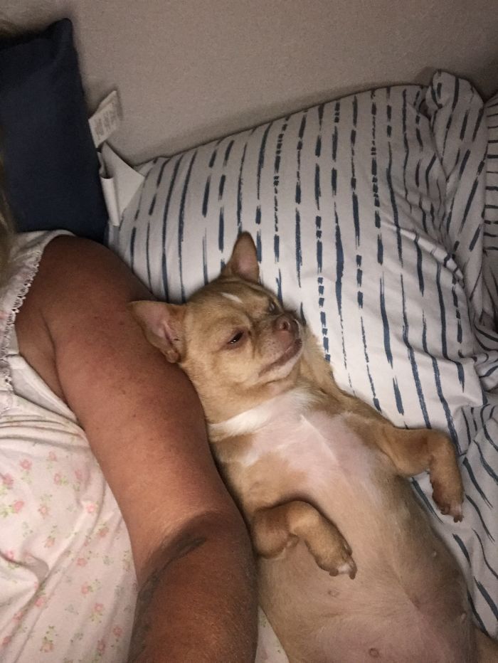 Don’t Mind If I Share Your Pillow!!