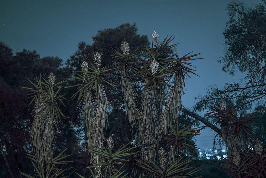 Burn In Blue: My Landscape Photo Series After Late Lab Work