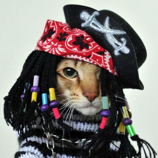 20+ Cute Pets Ready For Halloween